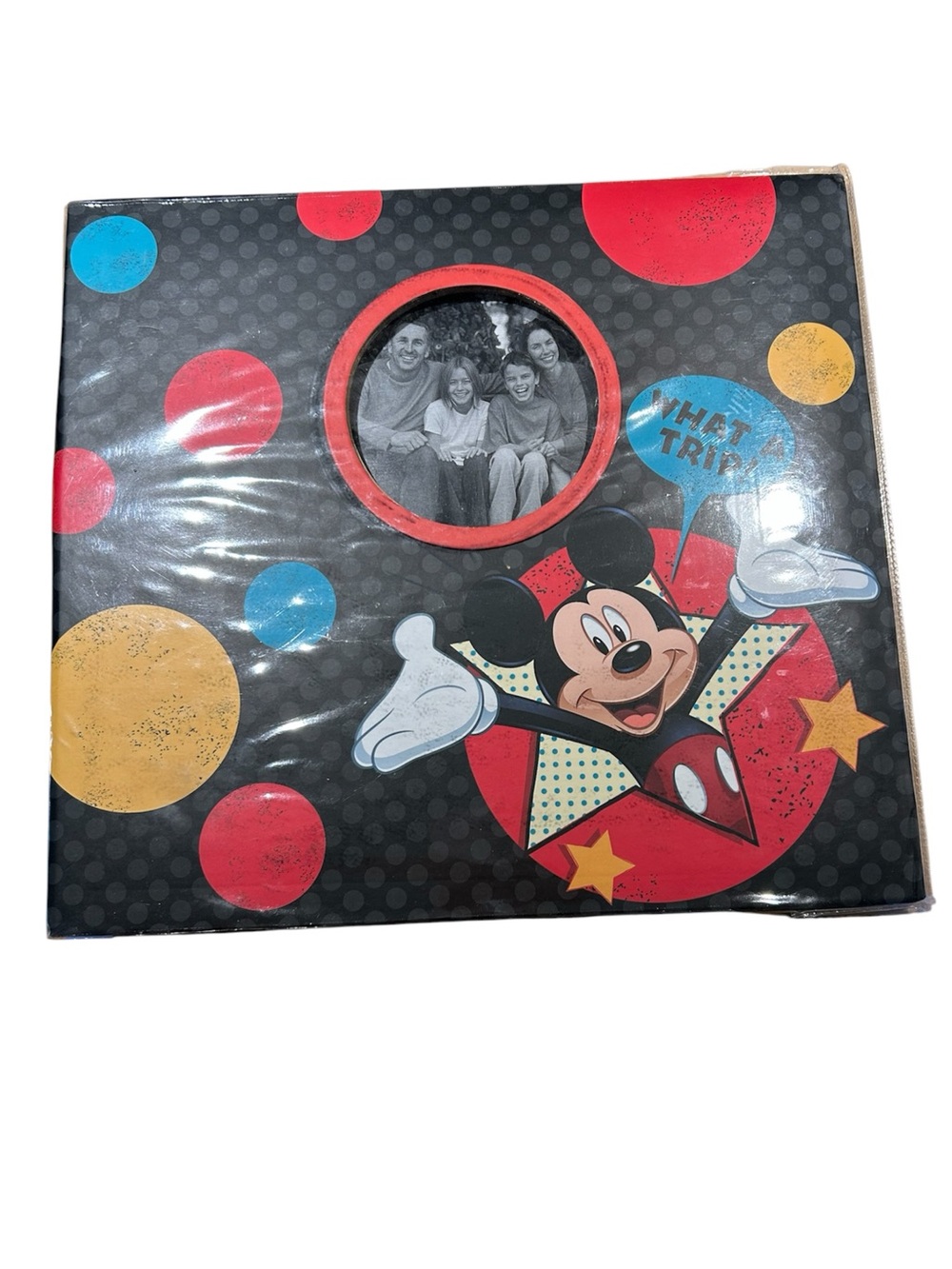 12 x 12 inches Scrapbook Album by DCWV